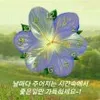 user8006305591166