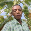 dallas_wanaman