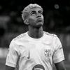 sanox_10
