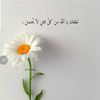 user8143605599260