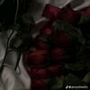 suthanderko08