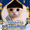 nasrul_8976