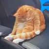 nghiemdztop1vn