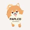 Papi.Co