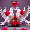 biruke_4