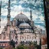 hanan.asil