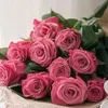 assia.massaoudi8