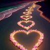 user4426191867376