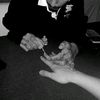 mesi_9207