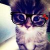 _jessica.pttry