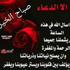 user25956726355997