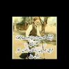 aliqureshi4681