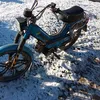 ttalekssa