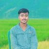 user41341671781433