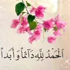 user38533983949408