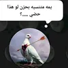 mahmedalmajed