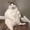 cookiwald
