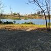 fudin_094
