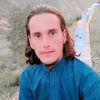gull_naveed77