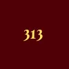 313