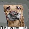 asoiiuiyt