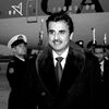 talal.9744
