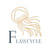 flawcycle_paris