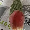 luigi.turco183