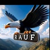 rauf.qedirov6