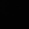 trashyhoe2009