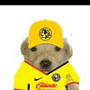liamgonzales8303938483