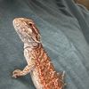 jamari011