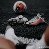 cr761496