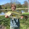 dinkdestroyer_colinprice