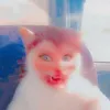 halfdevilandangel