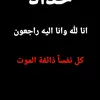 user8228447453426