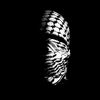 mohamedpes999