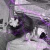 aurelia.azhaira