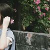 lilly.iv0