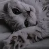 katie_kat141