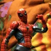 spiderrexaltacc