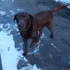 kasmil__