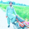 muhammadalimujwer