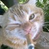dunax_a