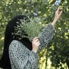birsty.akter438