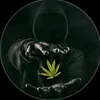 alik.petrov7