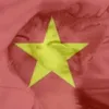 lun_thi_sao16613