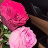 nawal1461v9w