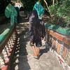 vathana.gojo
