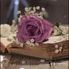 . ﮼ام. ﮼نور